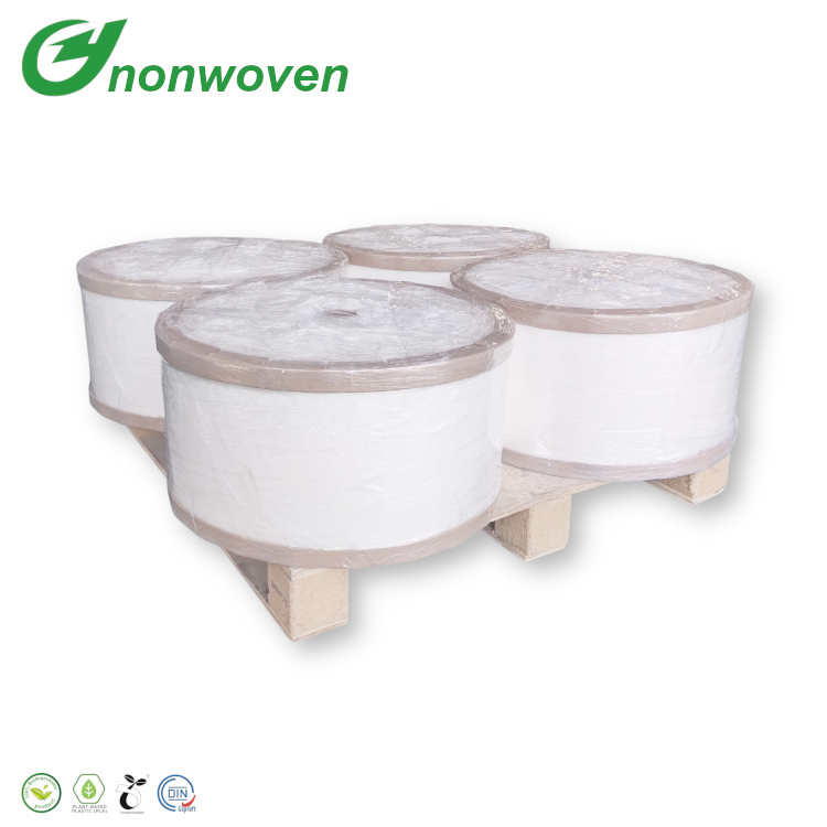 Tissu non tissé biodégradable PLA Spunbond pour élément filtrant purificateur d'eau